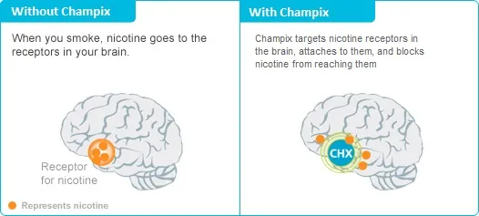 Buy Champix Online Lowest UK price guarantee MedExpress